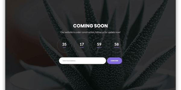 Coming Soon Template 01 By Template Setup